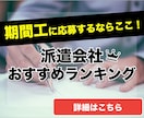 商品のバナー広告をおまとめ割引でお作りします 【ものづくり業界経験】理系ママがデザイン イメージ6