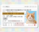 本物そっくり！ペットのオリジナル免許証を作ります 嬉しい2枚セット！丈夫なプラスチック製オリジナルペット免許証 イメージ2