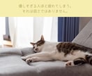 3日間心の専門家がメッセージでカウンセリングします あなたの気持ちに寄り添いながら、一緒に心の整理をします イメージ9