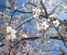 数学,理科,社会などの問題を解きます 問題がわからない！解き方がわからない！などと困ってるあなたへ イメージ1