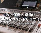 あなたの歌・演奏・楽曲にプロがコメントします 現在LIVEハウス運営をしている、元プロが聴きます！ イメージ1
