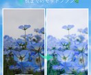 3枚まで✨SNS用や家族写真のレタッチ承ります ✨やさしい雰囲気でその1枚がより輝く特別な写真に✨ イメージ1