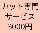 動画編集カットだけやります カットだけ必要な方！受け付けしております！ イメージ1