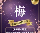直近の流れを知る未来安心鑑定します これからどう動く？の第一歩をお届け。優しく安心できる鑑定 イメージ1