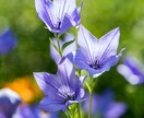 占いについて文章を書きます タロットってどんなもの？なにができるの？文章にします イメージ1