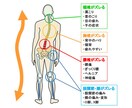 腰痛、肩こりなど症状改善の自己調整法を教えます 米国カイロ大学留学の知識と経験を元にアドバイス イメージ3