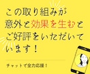 あなたの【目標1か月間達成】の応援サポートをします 【誰か人間に監視されてるからこそ、頑張れる、続けられる！】 イメージ8