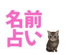 名前から心を癒しあなたらしさを見つけ出します 名前はあなたの人生ナビ、あなたらしさを取り戻す鑑定です！ イメージ3