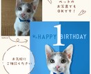 お子さまの写真をスタジオ風に加工します 現役WEBデザイナーが特別感ある画像を作成！記念やSNS用に イメージ3