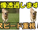 画像を透過いたします スピード重視！即日対応いたします。 イメージ1
