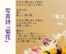大切な人を亡くされた方の涙を受け止めさせて頂きます 故人様へのお気持ちを大切に。ここでは思い切り泣いてください。 イメージ13