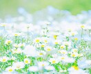 今後3ヶ月間についてメッセージをお伝えいたします より良い3ヶ月にするために☆スピリットガイドからのメッセージ イメージ6