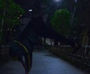 初心者向けにストリートダンスを教えます 初めての方でも安心、ストリートダンスに挑戦！ イメージ1