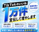 TikTokいいね1万件増やします TikTok集客・いいね増やし・宣伝・拡散手伝います！ イメージ8