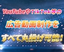 広告動画をまるごと制作します YouTube/TikTok等の広告動画制作をまるごとお任せ イメージ1