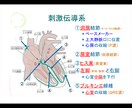 心電図の基礎を伝授します 心電図の基礎的な知識をまとめた資料を配布します！ イメージ2