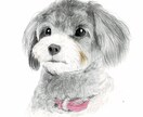 かわいい家族を永遠に。ペット肖像画描きます 愛するペットを肖像画として残しませんか？ イメージ1