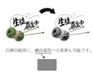 挿絵用に「物」のイラスト制作致します 写真とは違う手描き感のある表現。 イメージ7