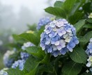 私にとっての「価値」を知り「選ぶ力」を取り戻します 迷う心の整理/「選択」の悩みのストレスを軽減 イメージ5