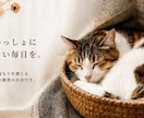 デザインカンプを忠実にコーディングします 現役エンジニアがピクセル単位で忠実に実装します イメージ2