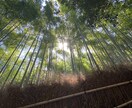 シネマティックな動画制作をします シネマティックなどお洒落なテイストの動画編集いたします! イメージ6