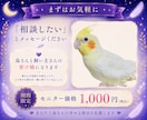 鳥さんの気持ちを丁寧にお伝えします 言葉にならない想いを静かに届けます。 イメージ5