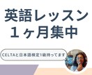 CELTA保有者が英語コーチングレッスン行います あなたに合わせた1ヶ月集中コース！！ イメージ1