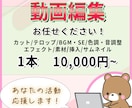 あなたの求める動画を制作します 丸投げOK！あなたの活動を応援します！ イメージ1