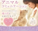 アニコミでペットちゃんの心を読み解きます 愛するペットがあなたに伝えたい「本当の気持ち」 イメージ1