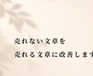 売れない文章を売れる文章に改善します 人の心に響いて、人が反応する言葉に設計し直します イメージ1