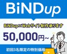 BiNDupを使用してのWeb制作代行を承ります ＨＰ／ＬＰ制作の代行を承ります。お気軽にご連絡ください。 イメージ1