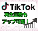 TikTokのフォロワー増やします 即日対応可！各種SNS対応！保証あり！お気軽にどうぞ！ イメージ4
