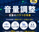 音量バラバラな音声を聞きやすく整音します 音のプロ歴20年。音量差を整え聞きやすい音声に仕上げます イメージ1