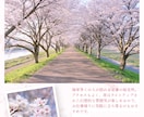 インスタグラムのデザインテンプレを作成します \その投稿、なんとなくで作っていませんか？ / イメージ7
