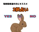 2択で悩んでいる方のサポートをします 短時間で占いたい方にオススメ！ イメージ1
