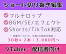 VTuber・配信者向け！切り抜きショート作ります 切り抜き箇所をご指定いただくだけ！まるっと切り抜き編集します イメージ1