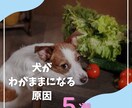 イメージに合わせた画像を作成いたします！ます 忙しい方必見！Instagram投稿画像作成いたします！ イメージ5