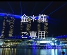 金＊様、ご専用ページとなります ハイグレードな英文レジュメ作成します イメージ1