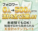 フォロワー0人→500人までの流れを全て公開します 未経験でもOK！知識ゼロから始められるX設計のテンプレート イメージ1