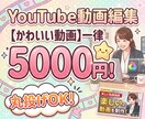 丸投げOK。YouTube動画編集サムネ制作します 圧倒的コスパ！丁寧なヒアリングと迅速な修正で理想をカタチに イメージ1
