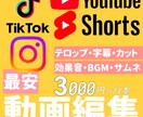 SNS動画、ショートのテロップ入れ、カット承ります YouTube(short)等のSNS動画の編集を行います。 イメージ1