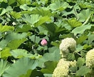 短いお時間OK＾＾いろいろなお話聴き♪ます お話し相手が欲しい、お悩みなどあるときのお話相手になります✨ イメージ9