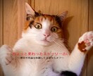 ちょっと変わったストーリー占いします ~摩訶不思議な体験してみませんか?~ イメージ1