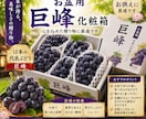道の駅・直売所の売れるPOP作成しますます プロ品質の目を引くPOPを制作します イメージ7