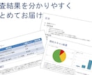 ホームページの診断＆改善レポートを作成します サイトの安全性、気になりませんか？国家資格保有者による診断 イメージ3