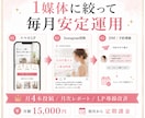 SNSからLPへ誘導するライト運用代行します SNS1媒体 週1投稿でLPへ誘導 月額15,000円 イメージ3