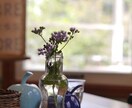 人に話せない悲しみや喪失感に、プロが寄り添います 死別、ペットロス、環境の変化…大切なものを失ったあなたへ イメージ1