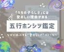 愛犬が生まれ持つ本質「人生の設計図」をひも解きます 愛犬の本質を深く知ることで、 今よりもっと愛おしい日々に。 イメージ1