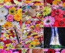 プロに近いクオリティで動画編集ます プロだとお金が高い、でもクオリティーは欲しい方はぜひ！ イメージ9