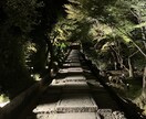 お悩み、お疲れの原因を一緒に吹き飛ばします 他人に言えないお悩み相談、何でもお気軽にお話しください イメージ1
